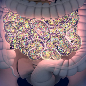 SALUD DIGESTIVA DESDE LA MEDICINA FUNCIONAL